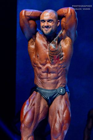 CLASSIC PHYSIQUE +178